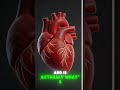 This is NOT what happens during cardiac arrest! 🤯 #shorts #facts