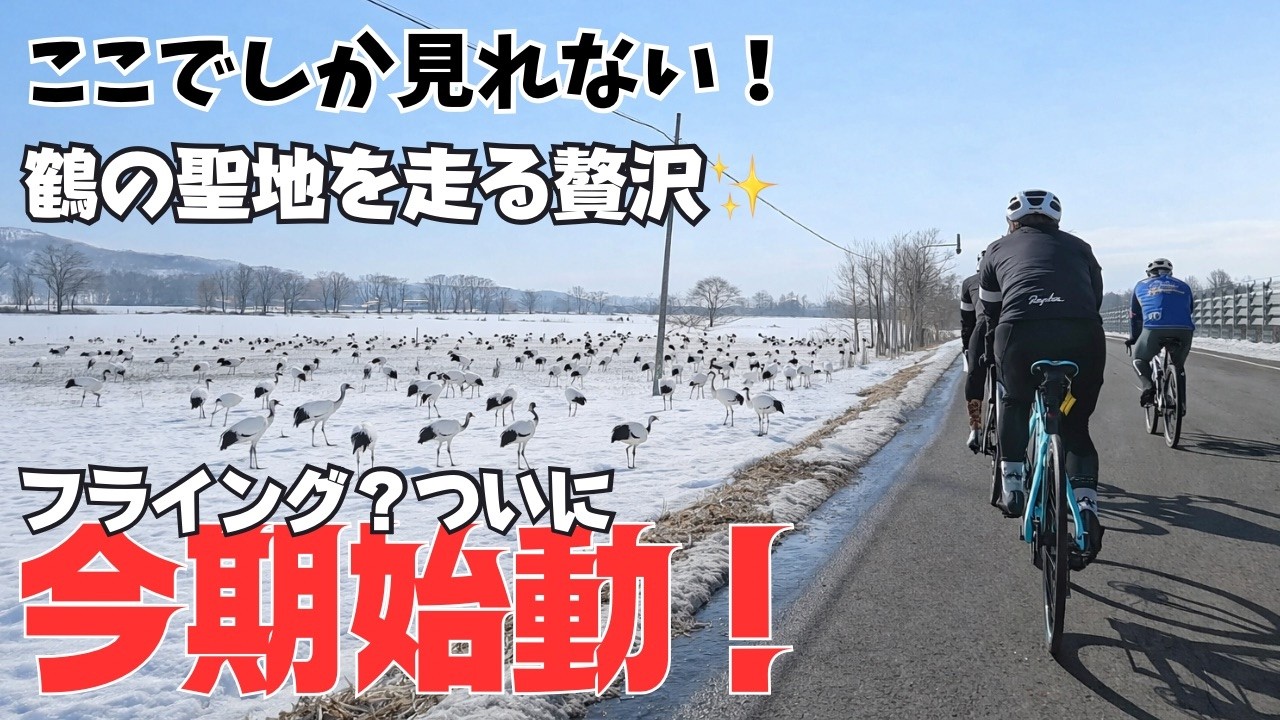 【ついに今期始動！】鶴の聖地を走る！鶴居村でシーズンイン