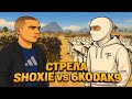СТРЕЛА ШОКСИ и КОДАКА в ГТА5РП