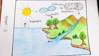 How to Draw Water Cycles of a School Project | Water Cycle Project | Water Cycle Diagram