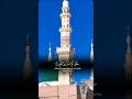 Shorts madina tilawet beautifullquran