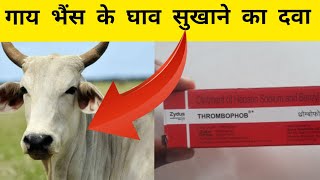 गाय भैंस के घाव सुखाने और घाव के कीड़े मारने वाली दवा|pashu ke ghav ka ilaj|Cure of wound in cattle