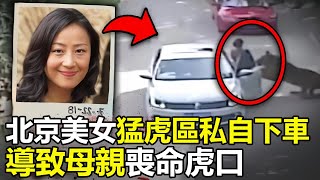 北京32歲美女猛虎區私自下車被老虎叼走母親飛身營救命喪虎口動物 世界之最 动物 老虎 猛兽 灾难 北京动物园 腦洞大開 出類拔萃