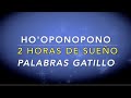 Hoponopono para DORMIR PROFUNDAMENTE Sanación completa con PALABRAS GATILLO Dulces Sueños Soy Luz