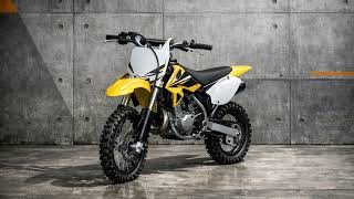Suzuki RM 65 gebraucht: Stärken, Schwächen & typische Probleme im Check