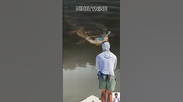 ikan besar memakan umpan pemancing #short #virrals #trending #yearsofyou