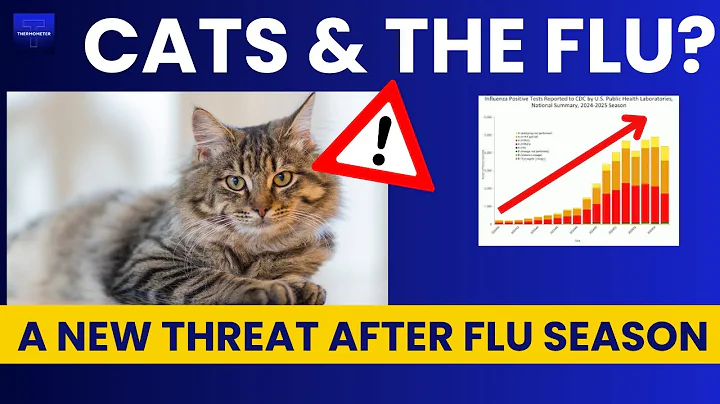 Human Flu Is Decreasing, But Cat Flu is Increasing. Here's How Health Experts Keep Their Cats Safe.