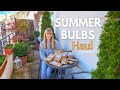 Summer bulbs haul for my container garden