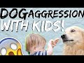 My dog doesn't like kids- Why is my dog aggressive towards kids?