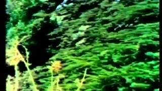 Mission Mind Control Documentary
