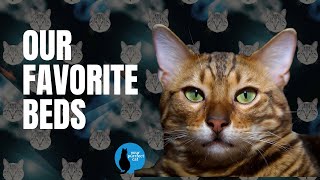 Our favorite cat beds #catfurniture #cat #cats #catbed by Your Purrfect Cat 18 views 3 months ago 6 minutes, 55 seconds
