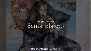 Señor platero~ Aegri Somnia (sub. esp)