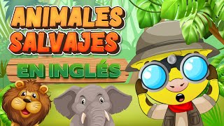 Animales en inglés | Animales Salvajes | Nombres de los Animales en Inglés