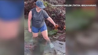 King tides bring crowds to tide pools in San Diego