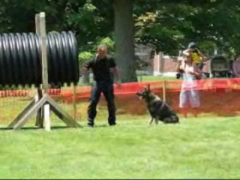 K 9 OLYMPICS 2009 - UConn Depot Campus - Storrs-Ma...