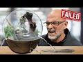 Diy gone wrong my frog biodome disaster