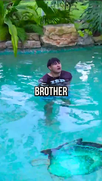 Pee'd In The Pool.. 🫣