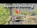 Hunting squirrels with a 20 gauge shotgun catch  cook