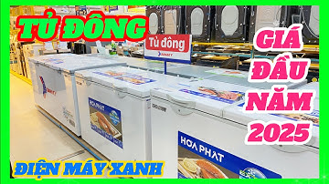 Cập nhật giá Tủ Đông đầu năm 2025 tại Điện Máy Xanh