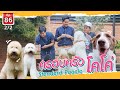 ครอบครัวโคโค่ - เพื่อนรักสัตว์เอ้ย EP.86 [2/2]