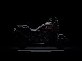 2025 Harley-Davidson Pan America 1250 ST | Flyaround