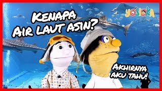 Bukan Garam! Inilah Penyebab Kenapa Air Laut Asin