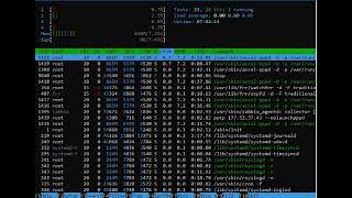 B-Ras Accel-Ppp Core I5 3470