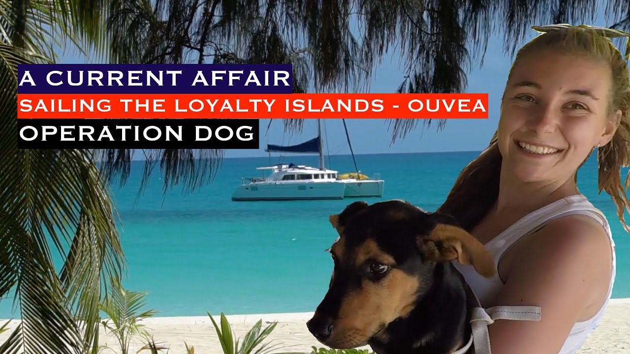 SAILING THE LOYALTY ISLANDS – ANIMAL WELFARE  – OUVEA NEW CAL