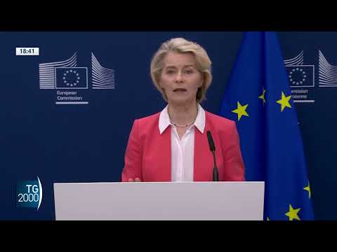 Video Von der Leyen: Età minima per accesso ai social. Ecco cosa ne pensa la gente