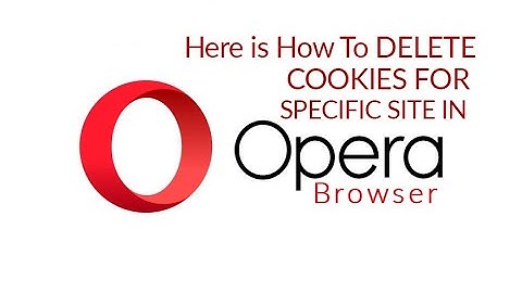 How to delete cookies for a specific site on Opera Browser