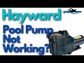 Hayward Pool Pump Not Working? / Hayward Super Pump Not Turning On?
