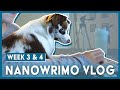 NaNoWriMo Writing Vlog Week 3 & 4 – losing but still writing!