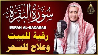 سورة البقرة كاملة لطرد الشياطين من منزلك وجلب البركه باذن الله surat albaqra