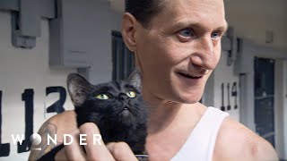 The Maximum Security Prison That Lets Inmates Have a Cat