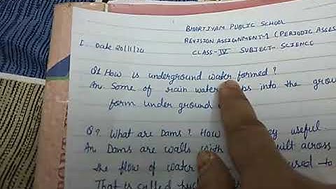 Bhartiyam Public School /class 4/Science/Revision Assignment