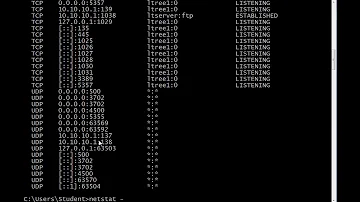 How do I use netstat?