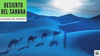 Desierto del Sahara – Vista Previa Sahara Desert Virtual Feild Trip