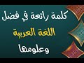 كلمة رائعة في فضل اللغة العربية وعلومها الأستاذ محمود الشافعي المصري كلمة رائعة في فضل اللغة العربية وعلومها الأستاذ محمود الشافعي المصري