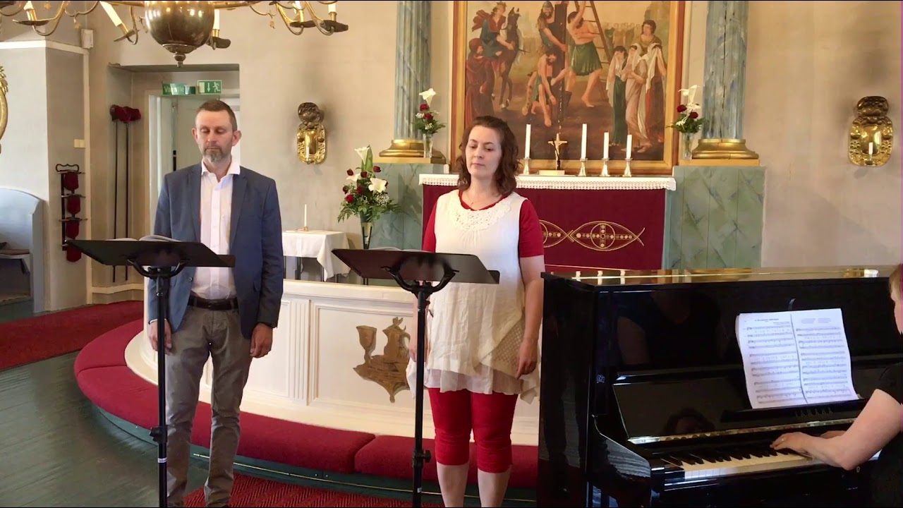 Mä sydämestän’ nähdä halajan