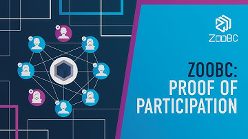 How Proof of Participation Consensus Algorithm in ZooBC Works