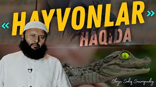 Shayx Sodiq Samarqandiy I Hayvonlar haqida