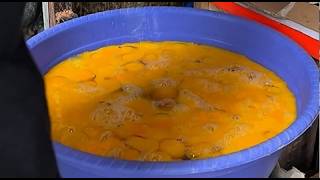 Masak Telor Satu Kuali Besar Ribet Tapi Enak Banget 