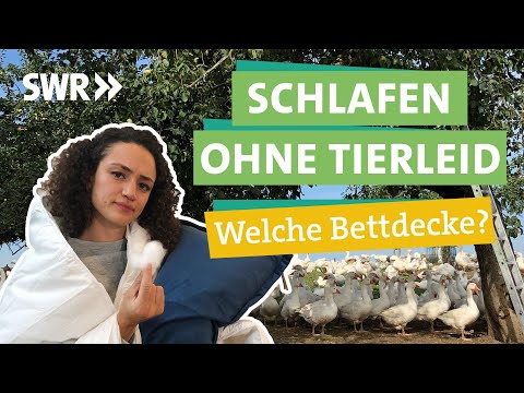 Video: Lohnt sich ein Federbett?