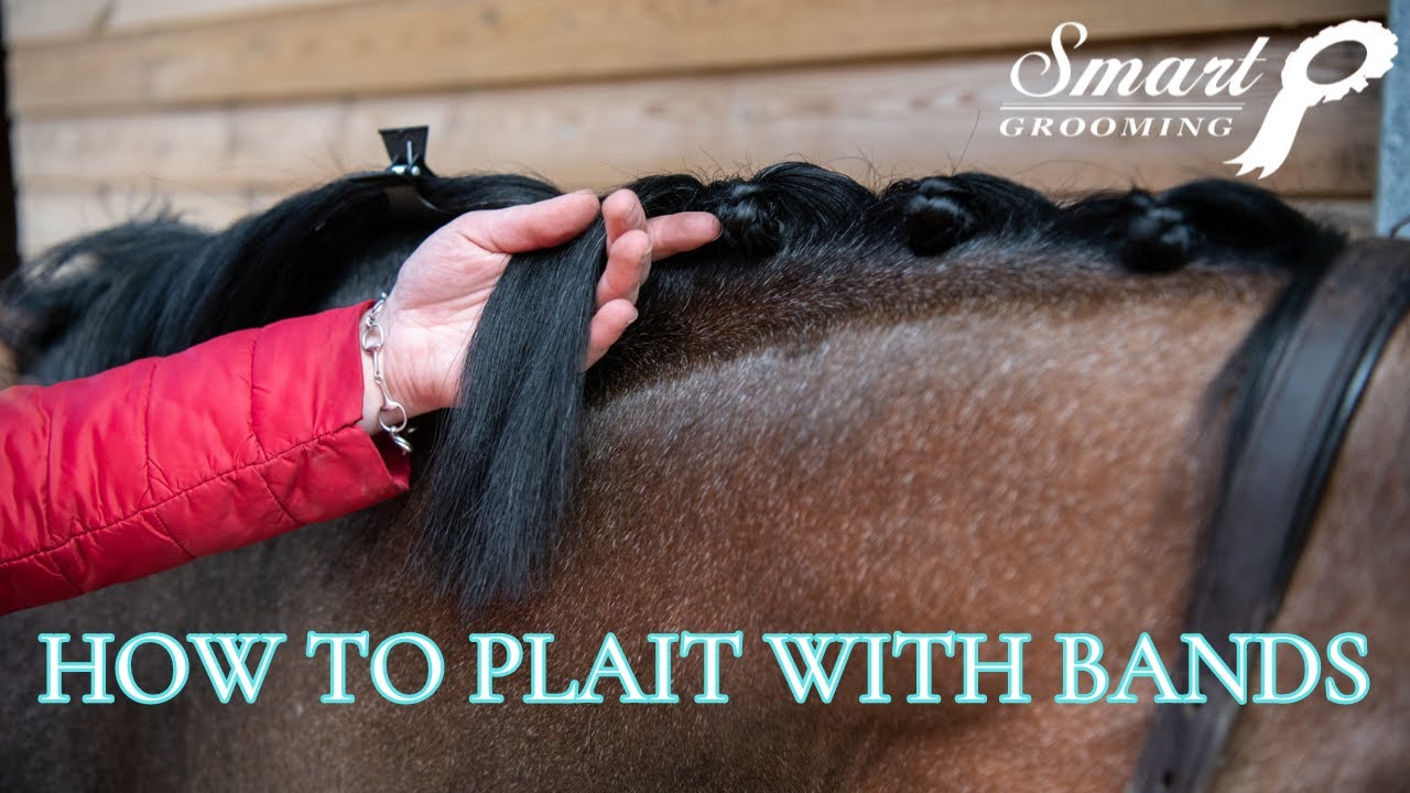 HOW TO PLAIT WITH BANDS