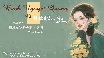 [Lyrics + Vietsub] Bạch Nguyệt Quang Và Nốt Chu Sa - Đại Tử | 白月光与朱砂痣 - 大籽 ❥ Video Replay