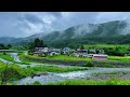 Rain in Japan - Refers to a Walk taken on a rainy day, often to experience its Unique