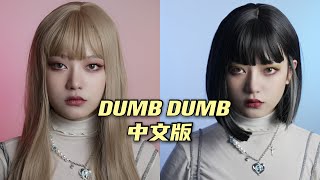 SOMI(전소미) - DUMB DUMB Chinese Ver. 中文填词翻唱 | I‘m not your barbie