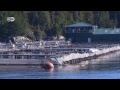 The Problem with Farmed Salmon | Global 3000