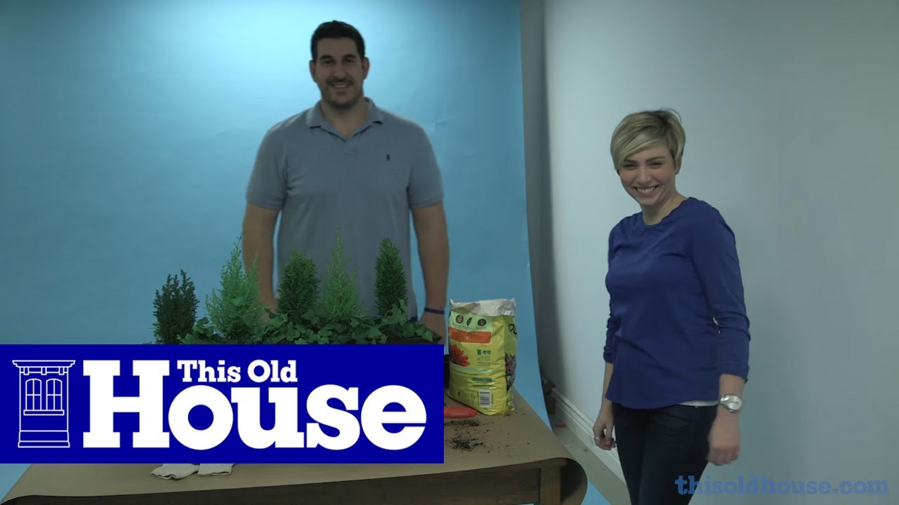 ask this old house videos How to Build a PVC Planter with a Cast-Iron Look | #DIYDare | This Old House