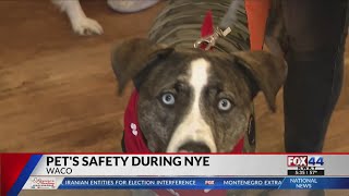 How to keep your pets safe this New Year’s Eve